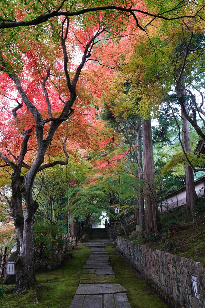 苗秀寺_紅葉_2022　No5