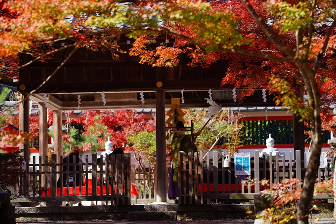 鍬山神社_紅葉_2022　No12