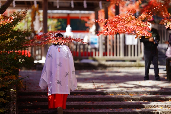 鍬山神社_紅葉_2022　No14