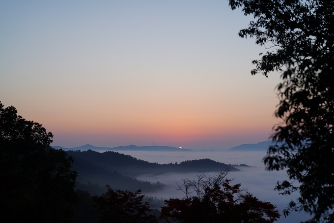 千手寺_雲海_日の出_紅葉　No8