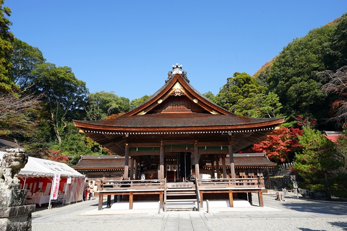 出雲大神宮_紅葉_2022　No28