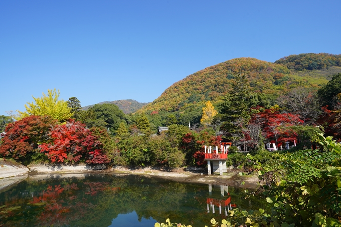 出雲大神宮_紅葉_2022　No29