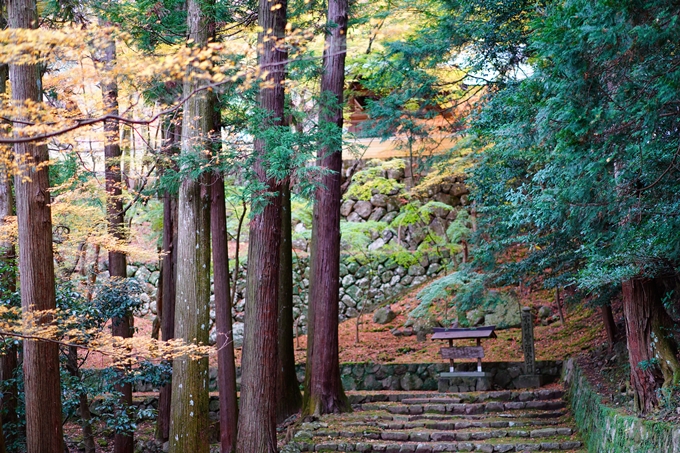 法常寺_紅葉_2022　No6