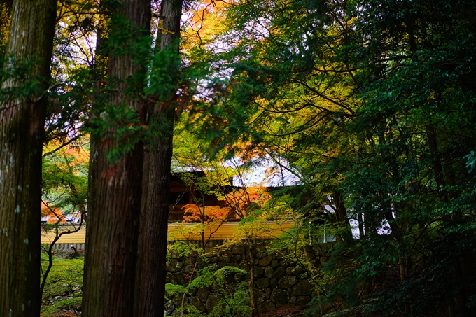 法常寺_紅葉_2022　No7