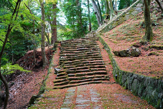 法常寺_紅葉_2022　No10