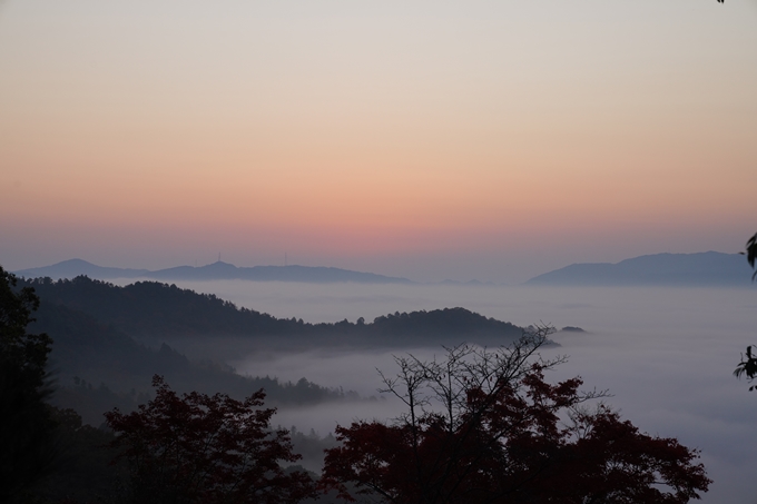 千手寺_雲海_日の出_紅葉　No2