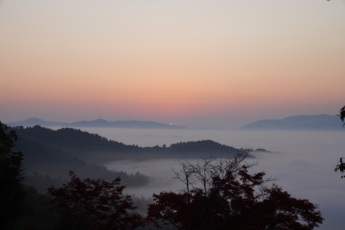 千手寺_雲海_日の出_紅葉　No3