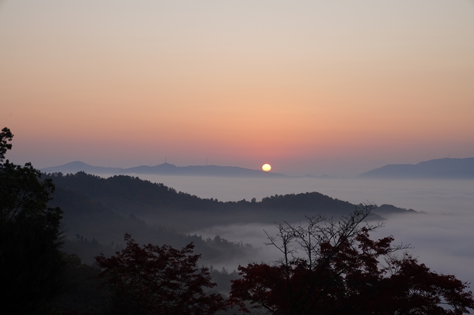 千手寺_雲海_日の出_紅葉　No4