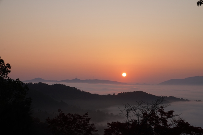 千手寺_雲海_日の出_紅葉　No5