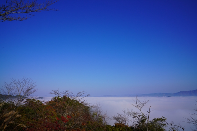 八木城跡_雲海_2022　No15