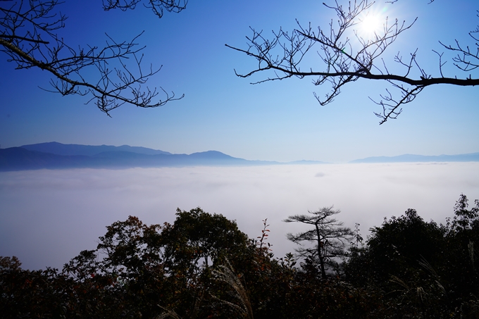 八木城跡_雲海_2022　No19