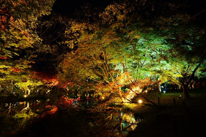 京都府立植物園_紅葉ライトアップ_2022　No10