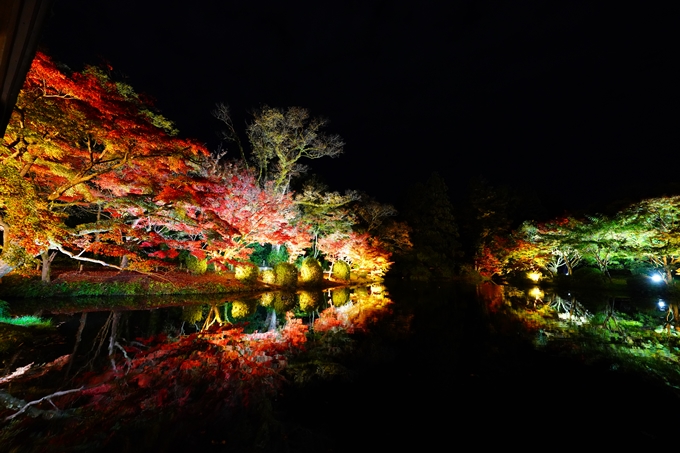 京都府立植物園_紅葉ライトアップ_2022　No11