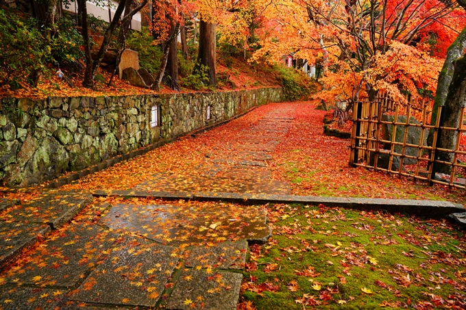 苗秀寺_雨_紅葉　No8