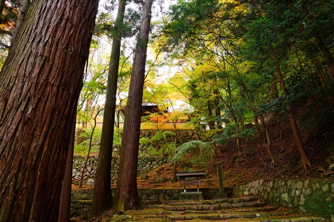 法常寺_紅葉_2022　No8