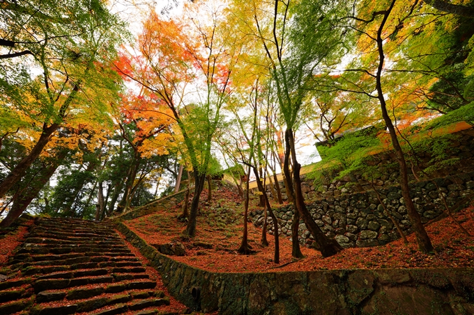 法常寺_紅葉_2022　No11