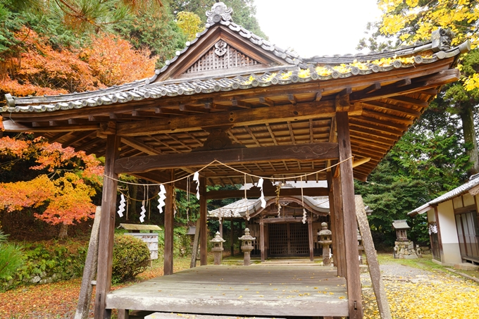 河阿神社_紅葉_2022　No7