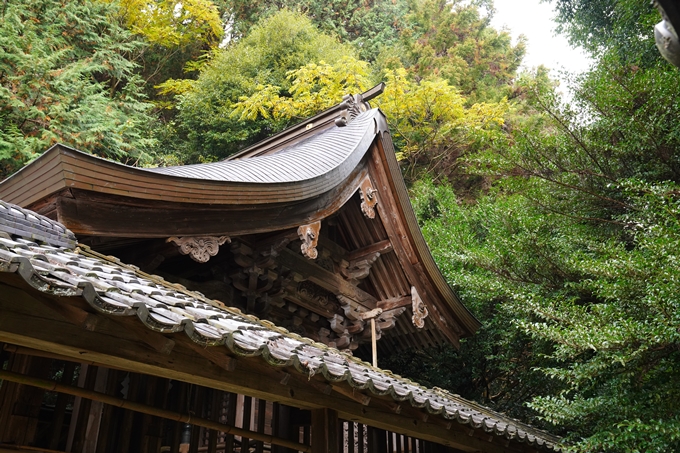 河阿神社_紅葉_2022　No14