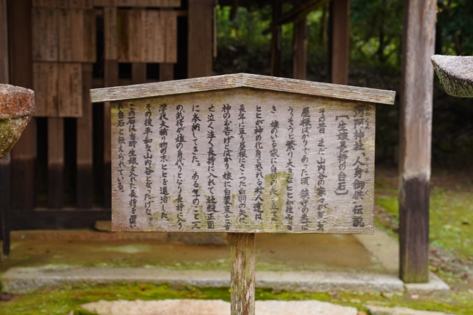 河阿神社_紅葉_2022　No16