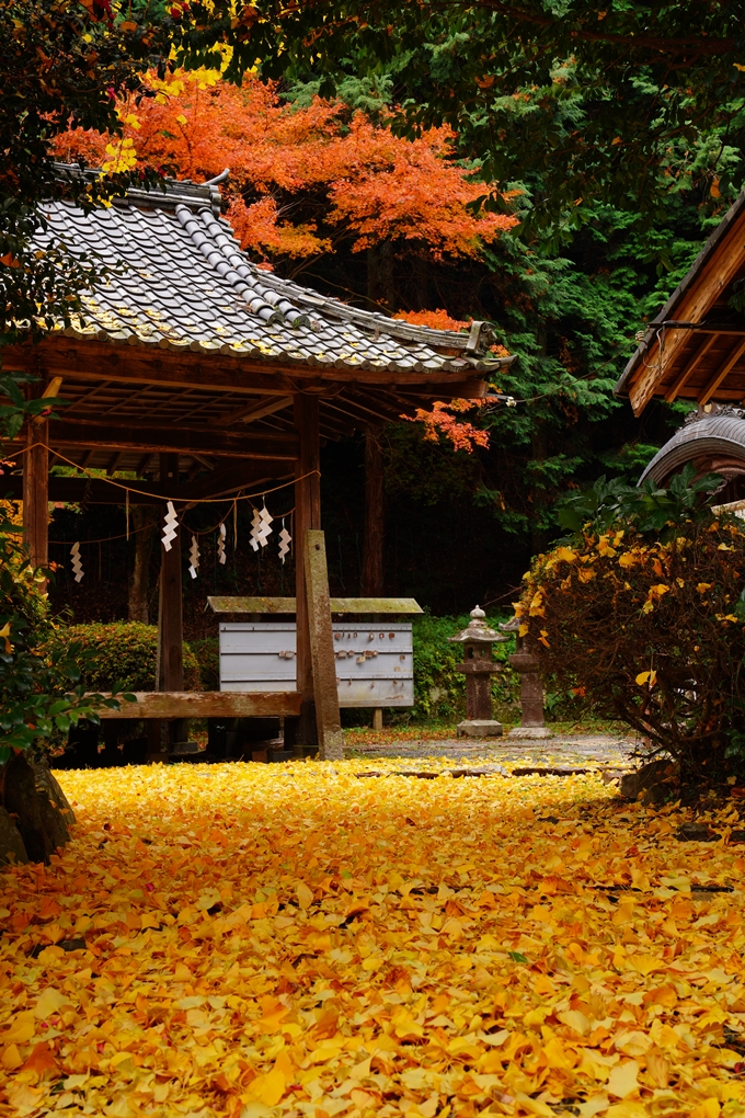 河阿神社_紅葉_2022　No5