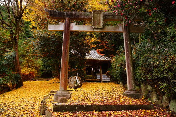 河阿神社_紅葉_2022　No3