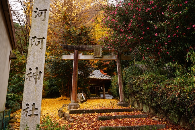 河阿神社_紅葉_2022　No2