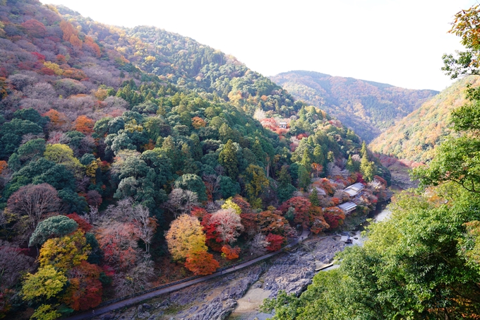 嵐山_紅葉_2022　No4