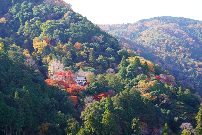 嵐山_紅葉_2022　No6