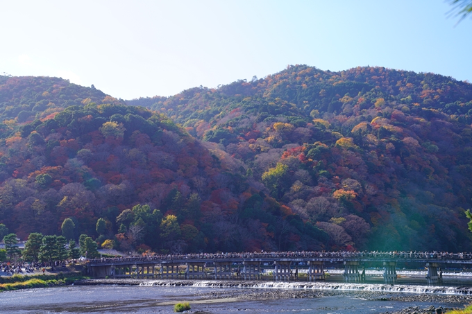 嵐山_紅葉_2022　No13