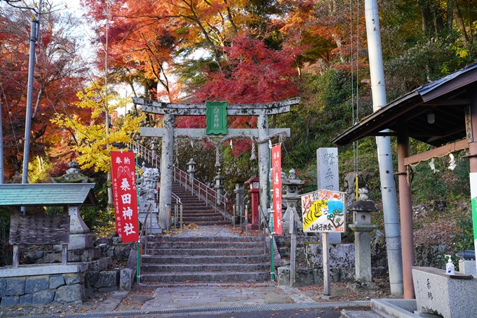 桑田神社_紅葉_2022　No2