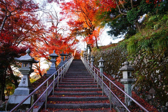 桑田神社_紅葉_2022　No3