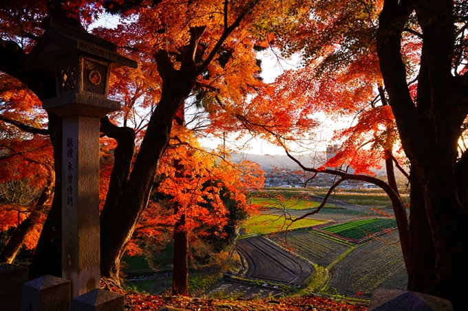 桑田神社_紅葉_2022　No4