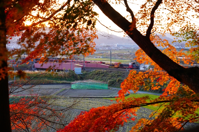 桑田神社_紅葉_2022　No6