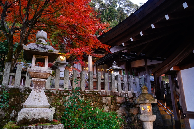 桑田神社_紅葉_2022　No12