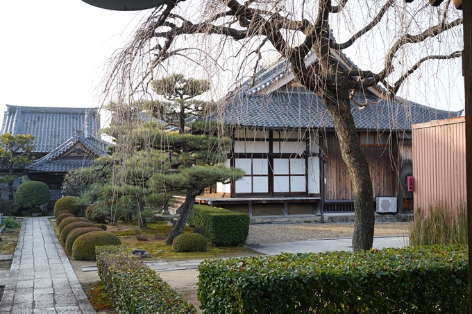 大将軍八神社_初詣_2023　No11