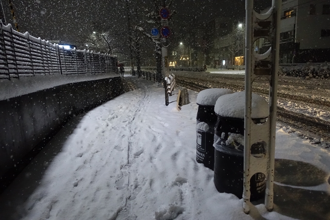 京都積雪_2023　No3