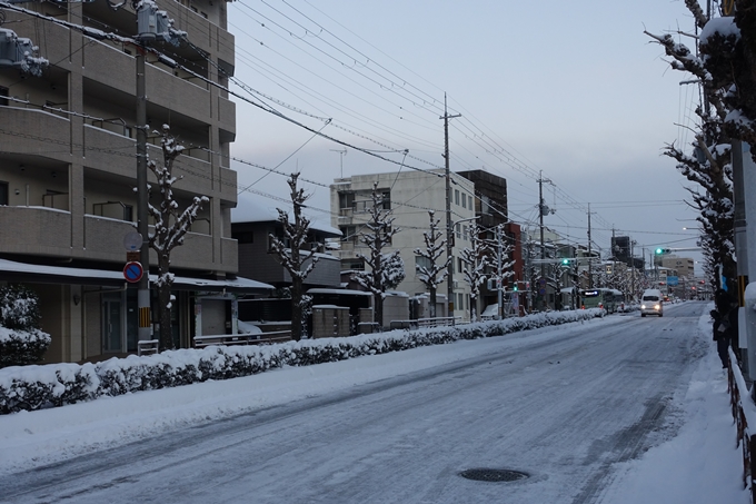 京都積雪_2023　No8