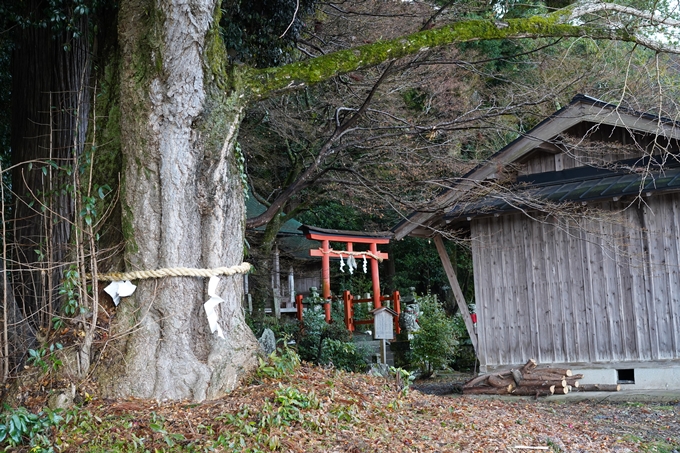 宕陰_四所神社　No9