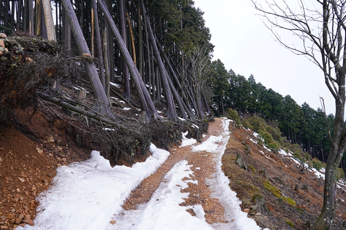 旧愛宕スキー場跡　No32