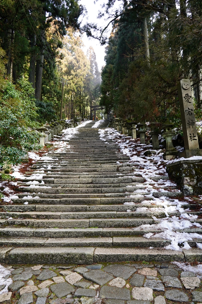 愛宕神社参詣　No21