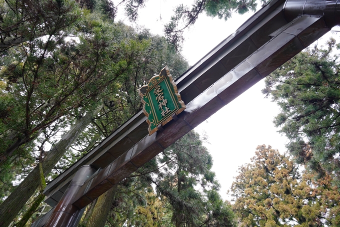 愛宕神社参詣　No43