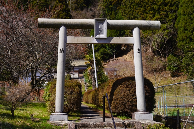 番外編_奈良_佛隆寺の千年桜　No10