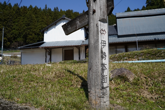 番外編_奈良_諸木野の桜　No19