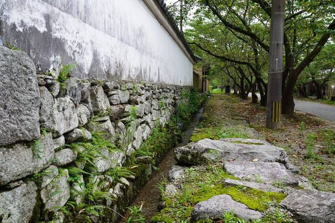 二階堂ロケ地_その２　No65