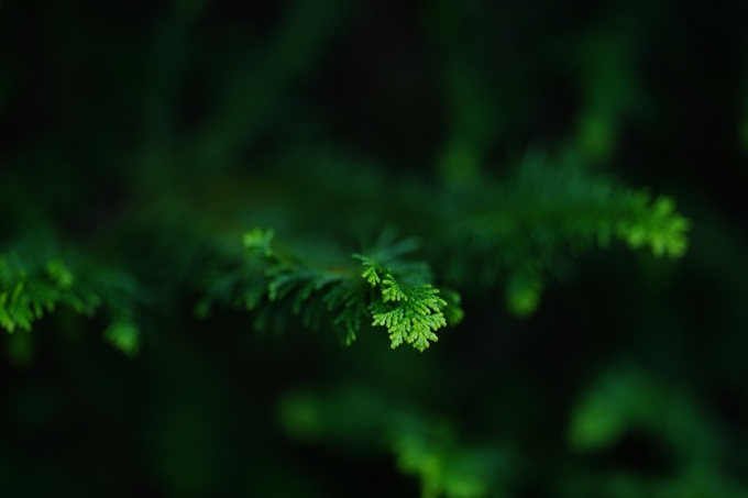 京都府立植物園_2023-10　No21