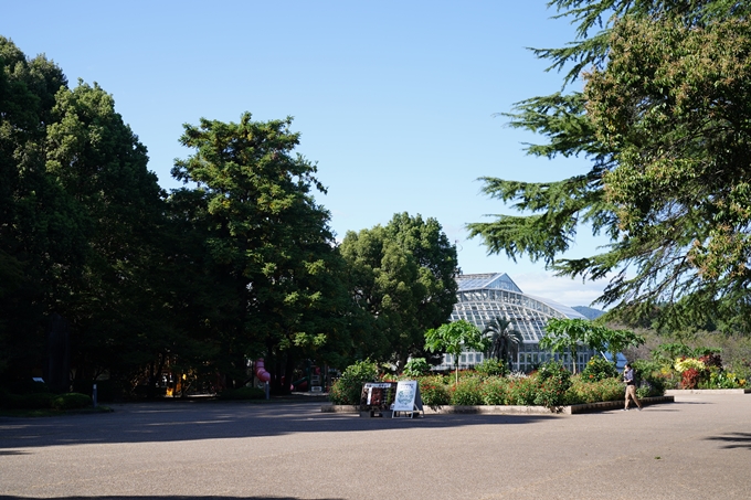 京都府立植物園_2023-10　No2