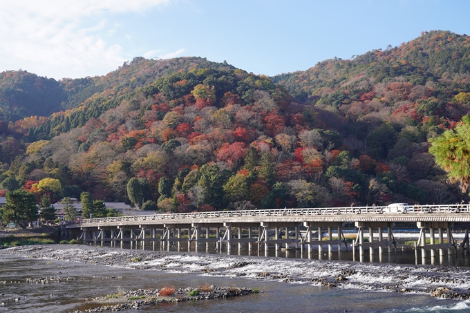 宝厳院_紅葉_2023-11-29　No2