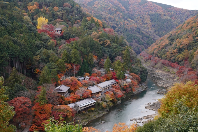 宝厳院_紅葉_2023-11-29　No21