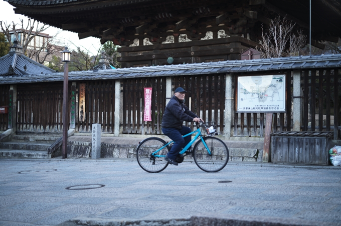 東山_散歩_2024-01　No15