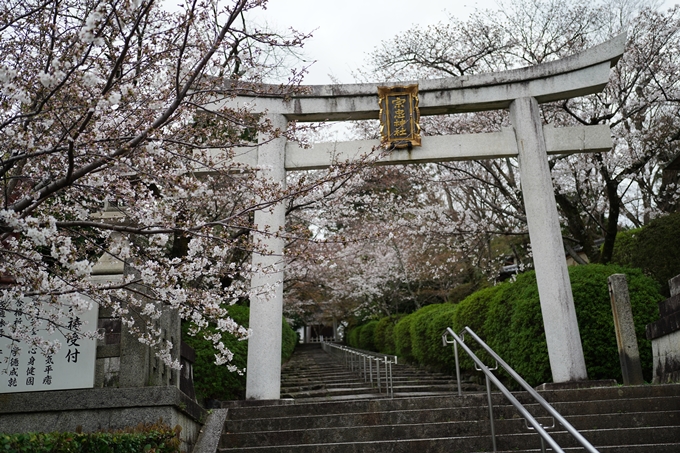 真如堂_金戒光明寺_岡崎神社_2024　No9